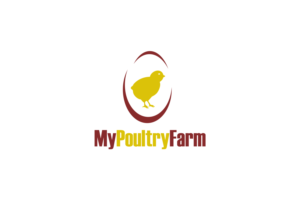 Logo Design by dreams and reality