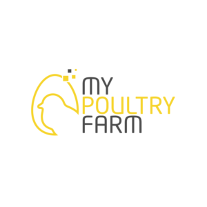 Logo Design by rddesign1992 for Intelligent Visibility | Design: #24457908