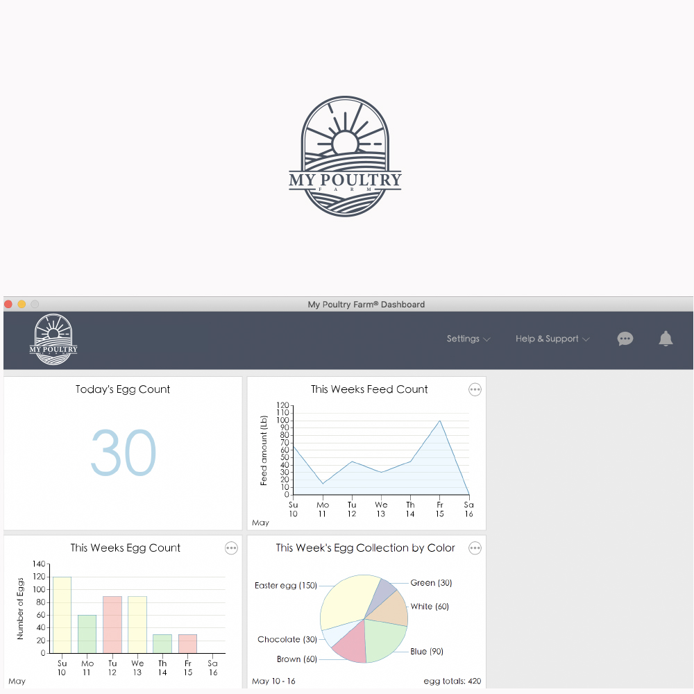 Logo Design by Sarastudioo for Intelligent Visibility | Design #24551322