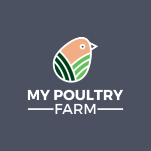 Logo Design by Sunilc for Intelligent Visibility | Design: #24475883