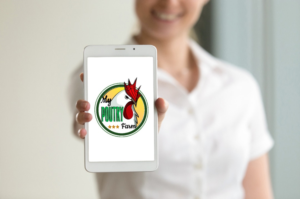 Logo-Design von hrya für Intelligent Visibility | Design: #24481785