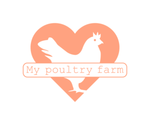 Logo Design by Kat_designs