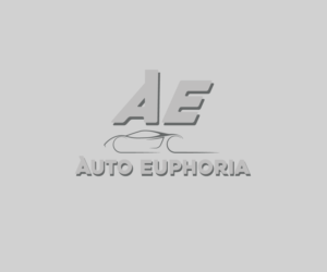 Design de Carte de Visite par JR design pour Euphoria Auto Works LLC | Design : #24505261