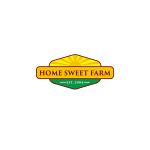 Logo Design by ESolz Technologies