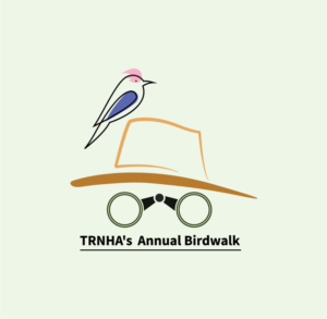Logo Design by Animesh haldar