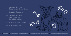Graphic Design by Studiok91 for this project | Design #24464430