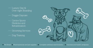 Pleasant paws pet center | Graphic Design by Studiok91
