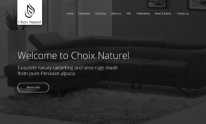 Home page graphic design only (NOT WEBSITE DESIGN) | Grafik-Design von Nightmist