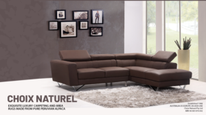 Diseño Gráfico por AnneWanjiku para Choix Naturel Pty Ltd | Diseño #24475459