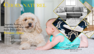 Graphic Design by brightb for Choix Naturel Pty Ltd | Design: #24472185