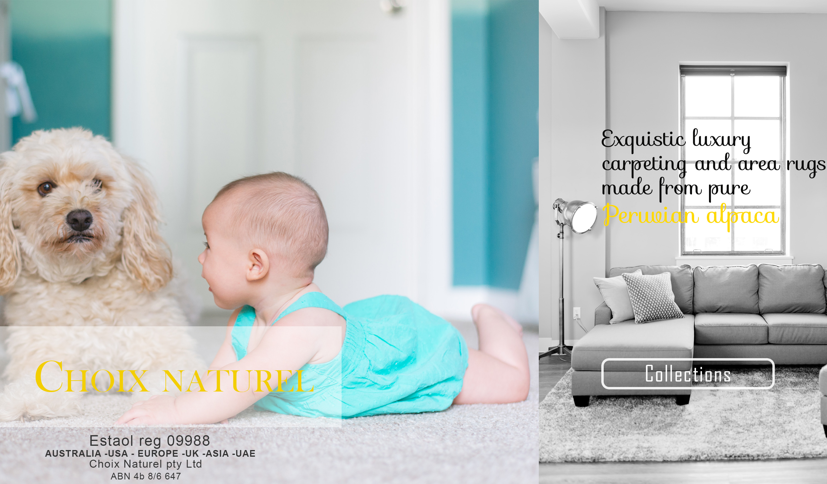 Graphic Design by brightb for Choix Naturel Pty Ltd | Design #24473002