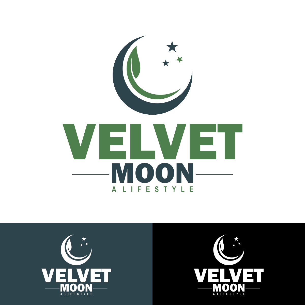 Logo Design by fly  design for this project | Design #24494598