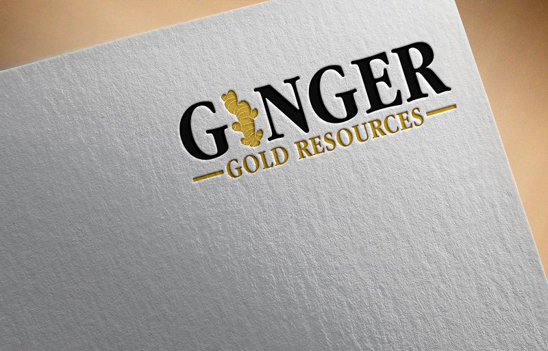 Logo Design by creative ismat for ORNIKO GLOBAL TRADE SOLUTIONS  B55336556 | Design #24529441