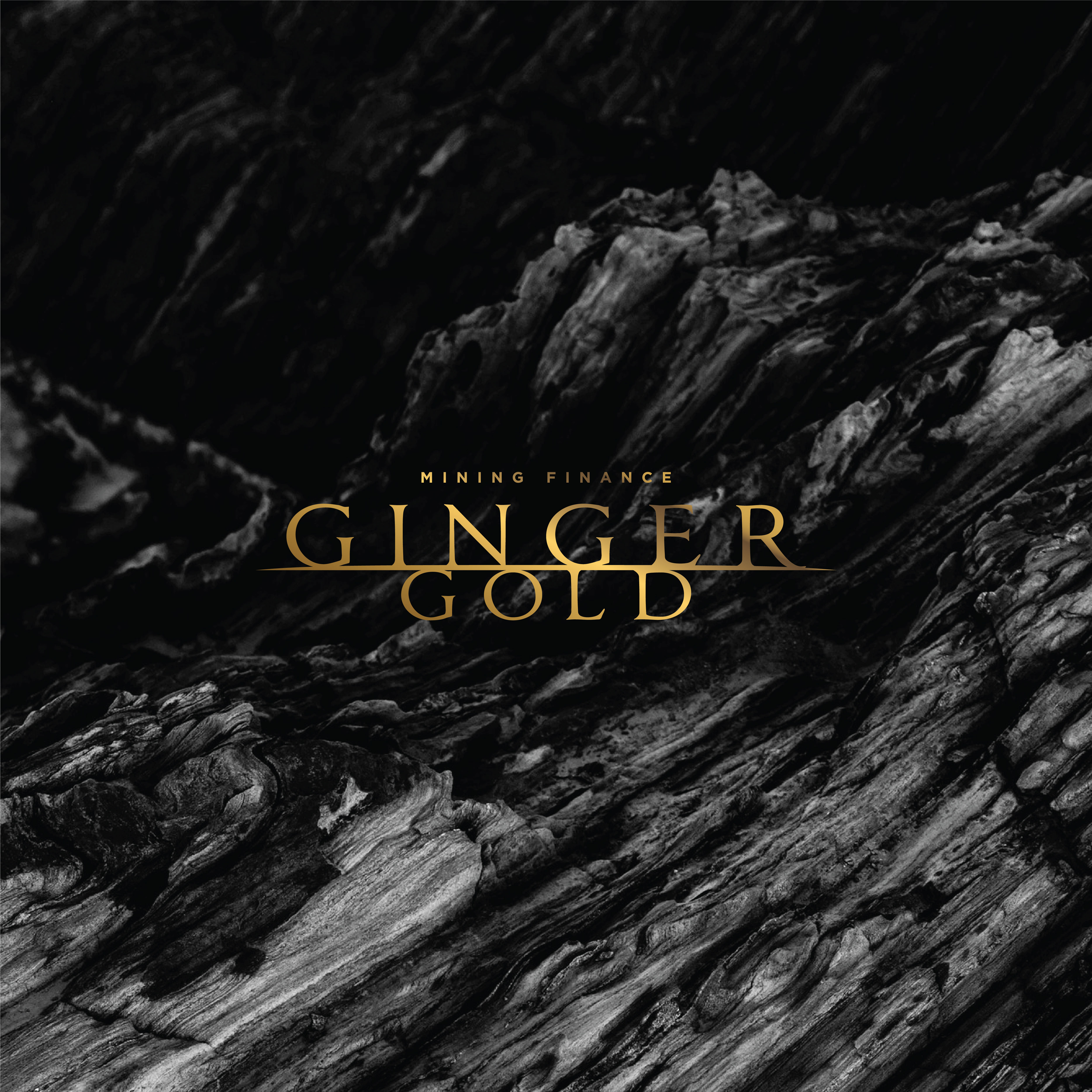 Logo Design by Christopher.Min for ORNIKO GLOBAL TRADE SOLUTIONS  B55336556 | Design #24474049