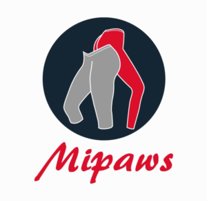 Logo Design by OwaisAhmed