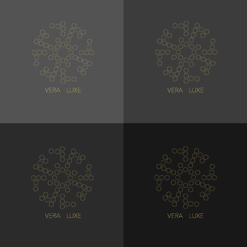 Logo Design by Roksana Skura / PIEL Design for this project | Design #24484538