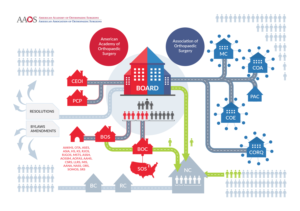 Infografik-Design von fernandasuzk für dieses Projekt | Design: #24511801
