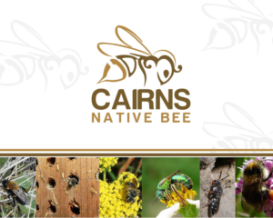 Cairns Native Bee | Logo Design by Aliqa Design