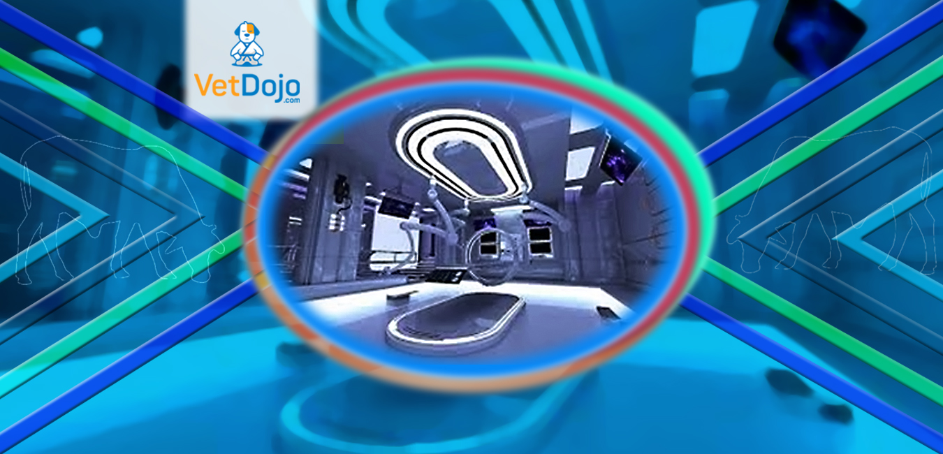 Graphic Design by Mamun 15 for this project | Design #24487449