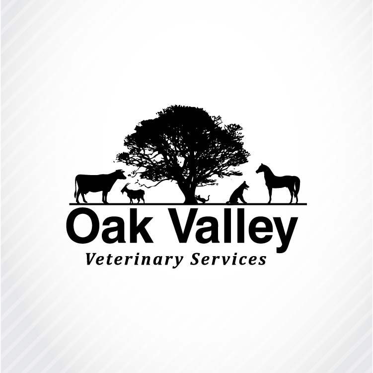 Design de Logo par ShakiJav pour ce projet | Design #24487957