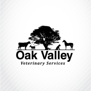 Logo Design by ShakiJav for this project | Design: #24487957