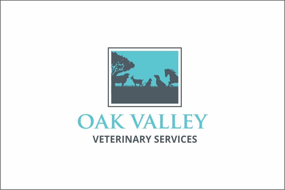 Logo Design by Robert Macwan for this project | Design #24540191