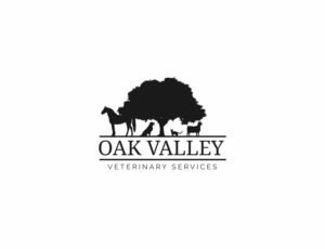 Logo Design by MOH Studio for this project | Design: #24499076