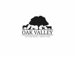 Logo Design by MOH Studio for this project | Design: #24515520