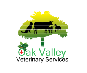 Logo Design by SIB gallery for this project | Design: #24519789