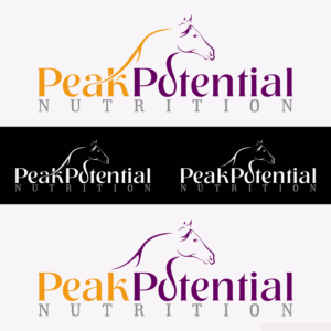Logo Design by Buddhika Nalin
