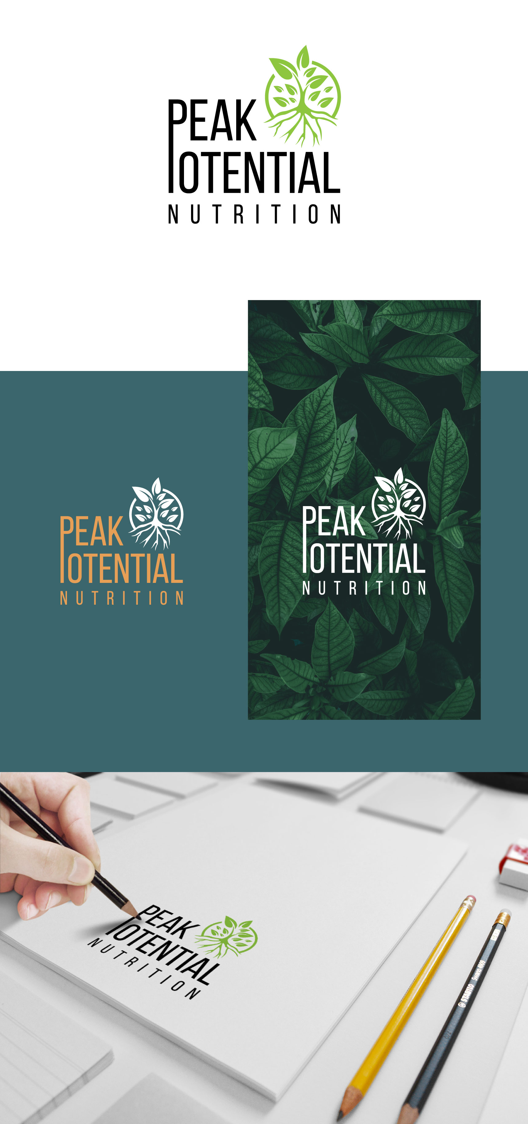 Logo Design by Mongsh for this project | Design #24486584