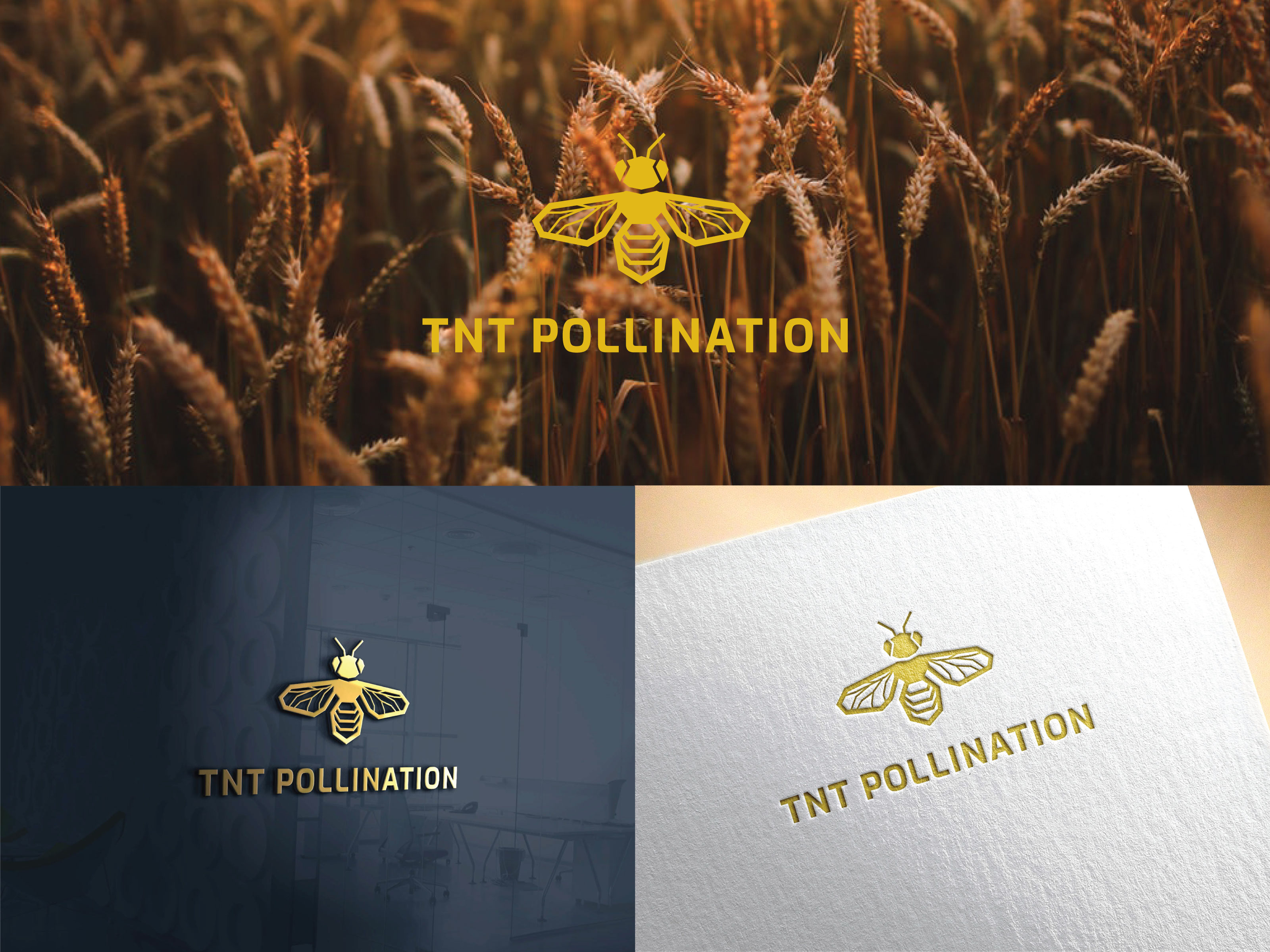 Diseño de Logo por Fajr. para TNT Pollination | Diseño #24515552