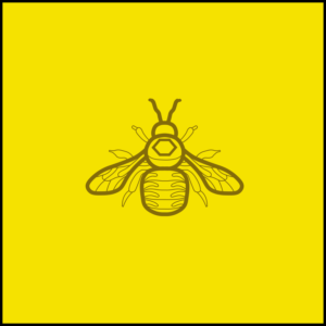 Logo Design by United Brand Studios for TNT Pollination | Design: #24499991