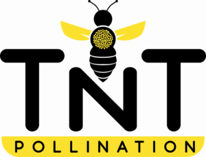 Logo Design by rween tablisma