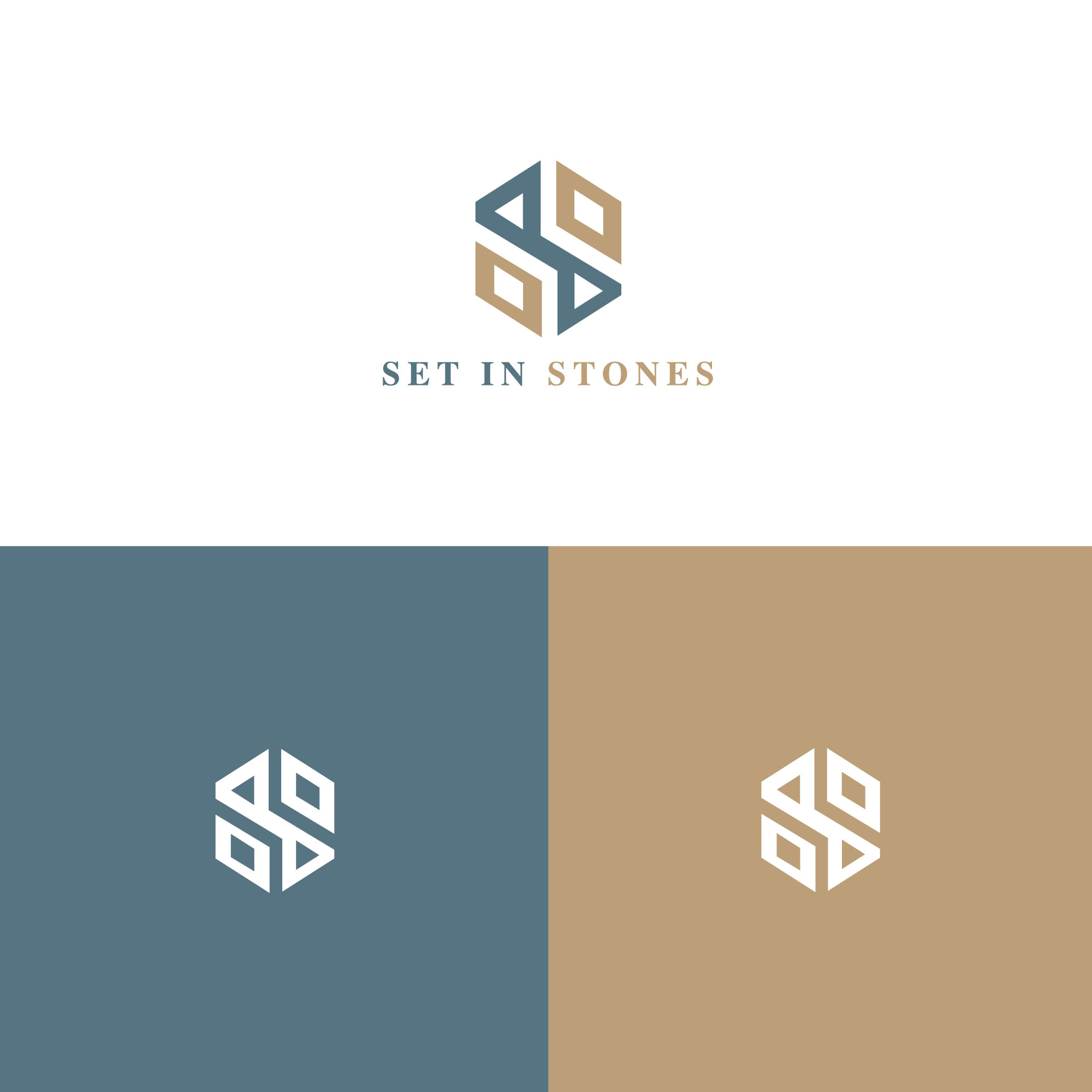 Design de Logo par LogoToGoStudio pour ce projet | Design #24509729