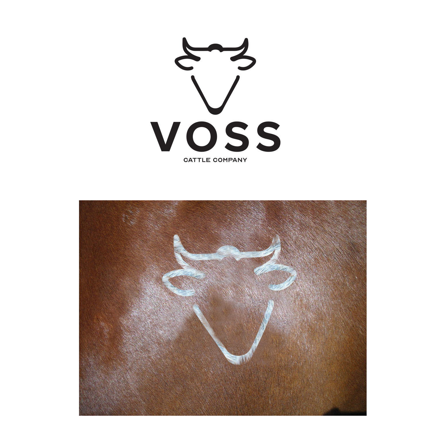 Logo Design by rls for this project | Design #24513704