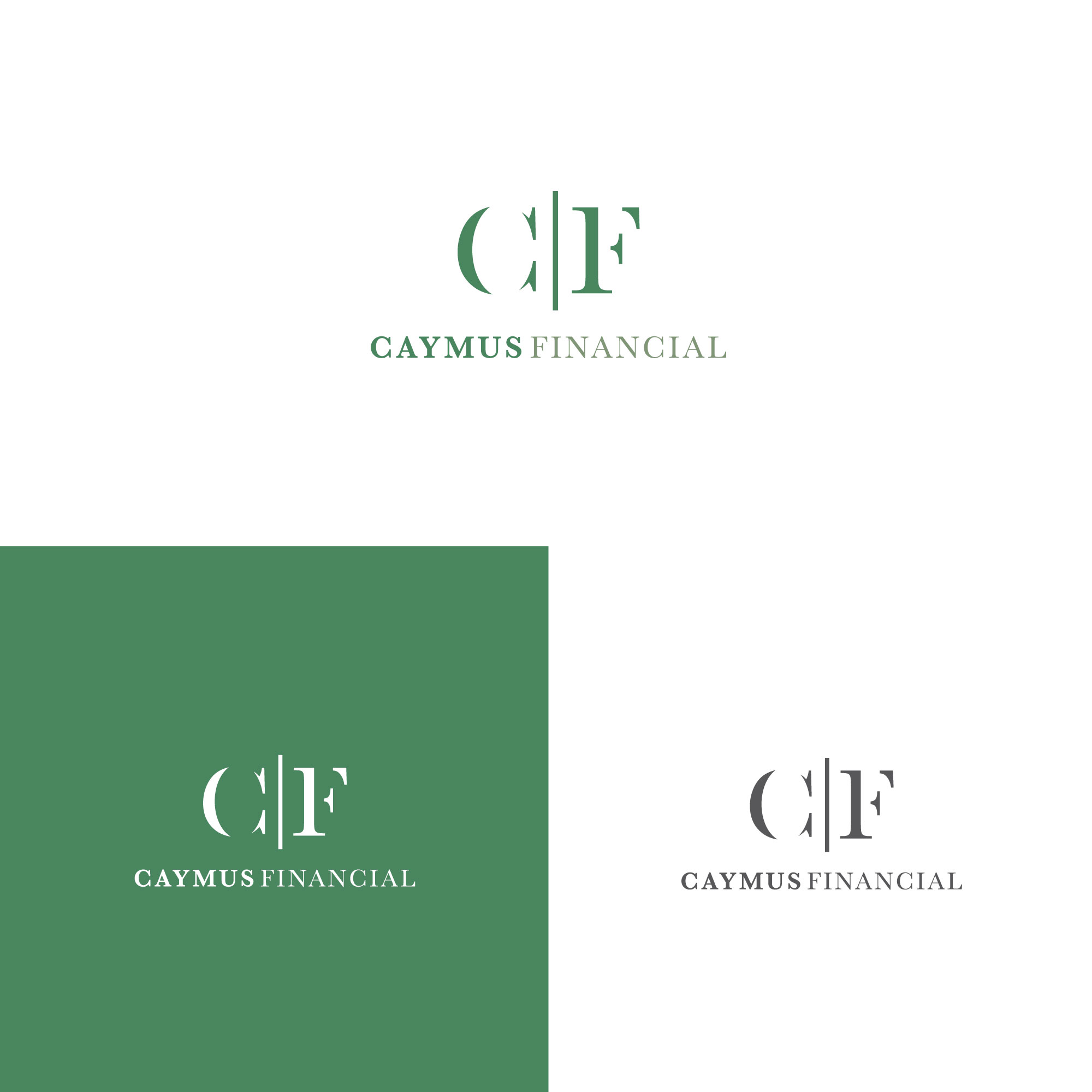 Design de Logo par LogoToGoStudio pour ce projet | Design #24521597