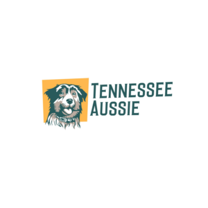 Logo Design by Bstudio for this project | Design: #24566340