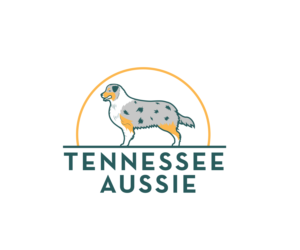 Logo Design by renderman