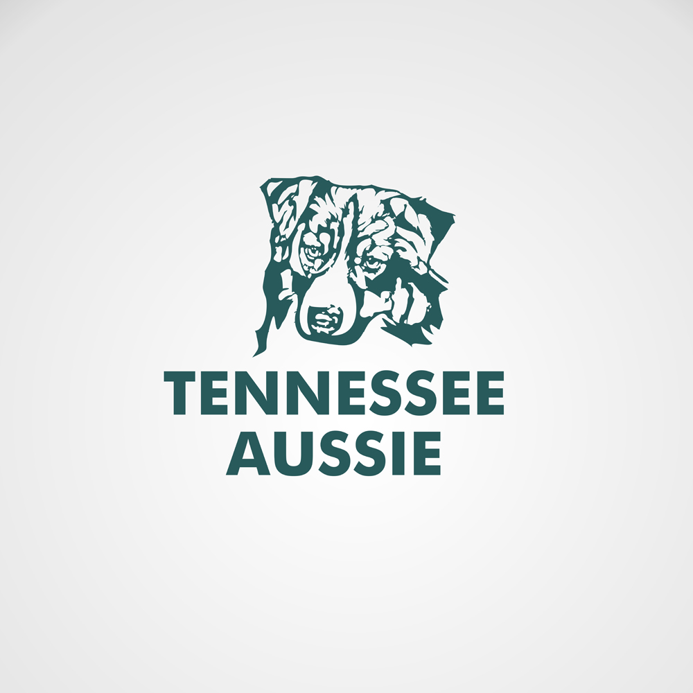 Logo Design by sachin95 for this project | Design #24561110