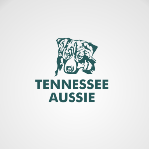 Logo Design by sachin95