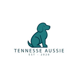 Diseño de Logo por IDTech para este proyecto | Diseño #24568839