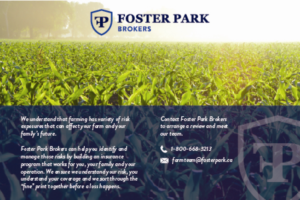 Flyer Design by emdeee for this project | Design: #24539716