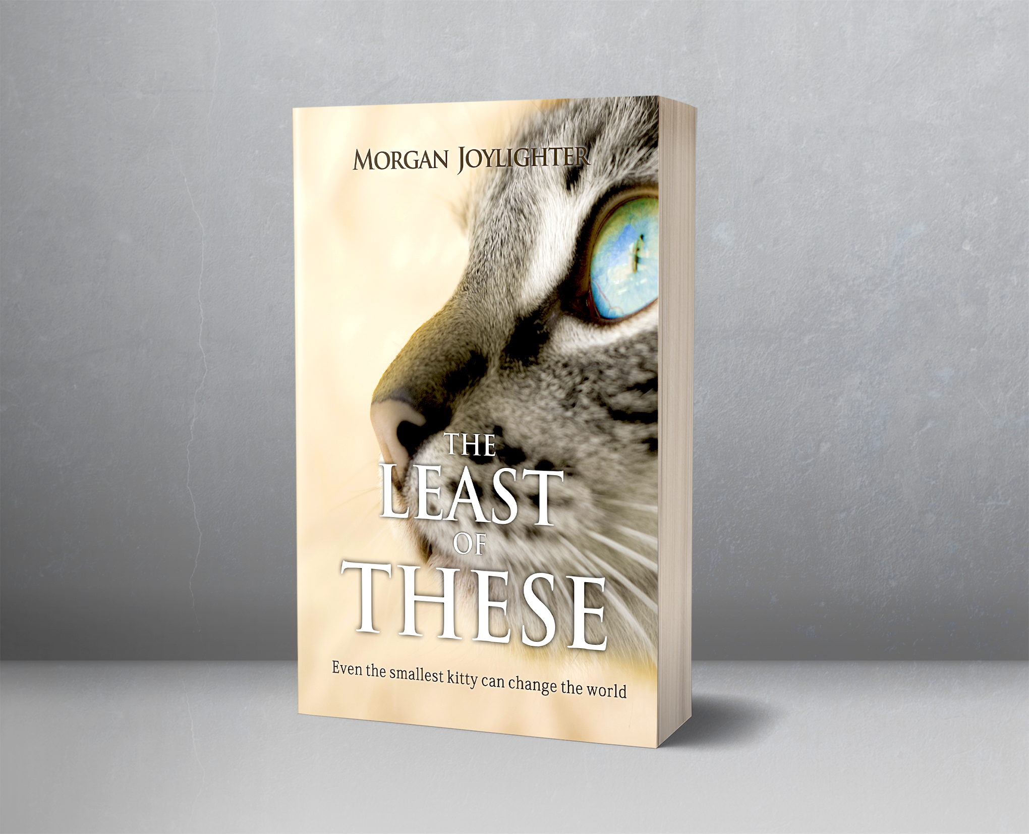 Book Cover Design by Aesthetica Society for this project | Design: #24585429
