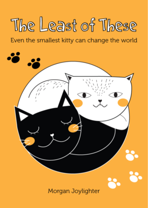 Book Cover Design by claramalimpensa