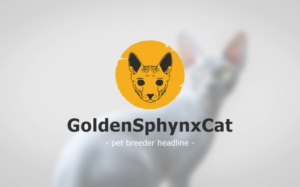 Logo Design by Mix MyPhotoshop for this project | Design: #24530705