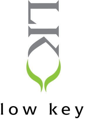 Logo Design by point of design