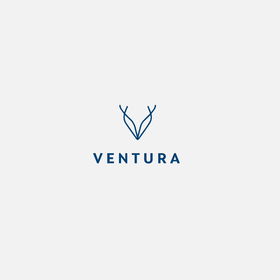 Logo Design by Designs_4_U for Ventura Inc  | Design #24555978