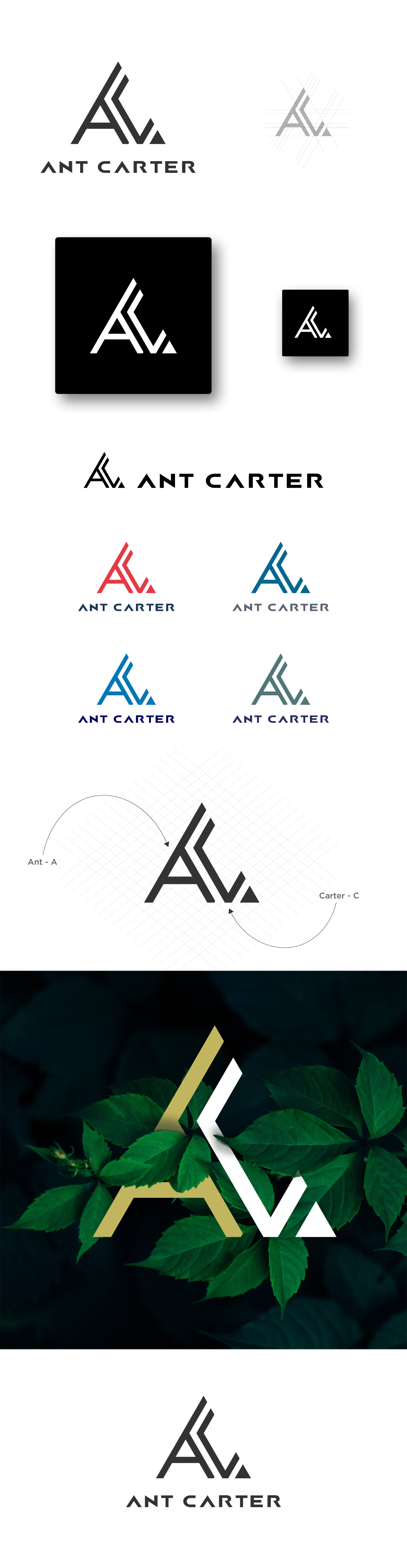 Diseño de Logo por Moon Design. para Lateral Leadership Ltd | Diseño #24552791
