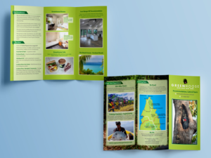 Flyer Design by Chandra